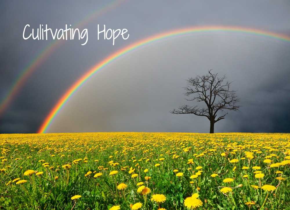 Cultivating Hope
