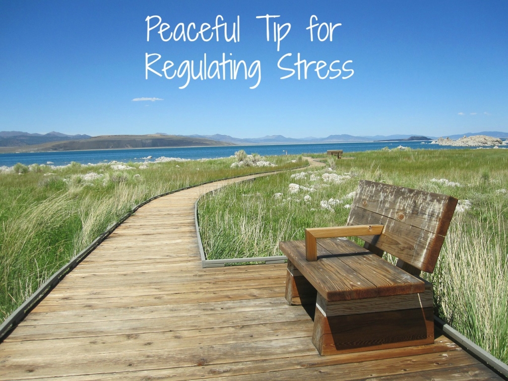 Peaceful tip for regulating stress