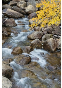 stream in mountains