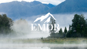 EMDR Basic Training and Advanced Training