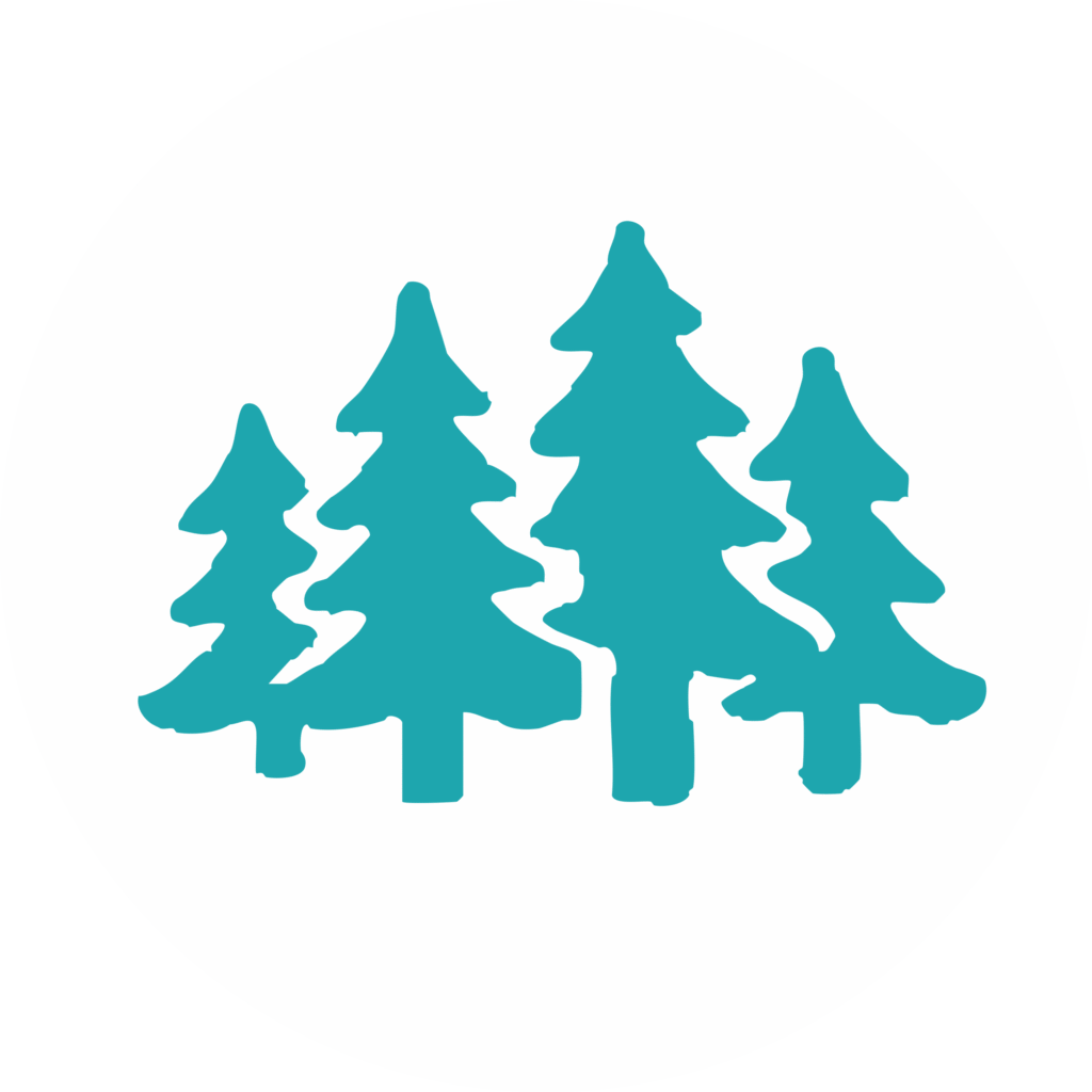 Tree forest icon